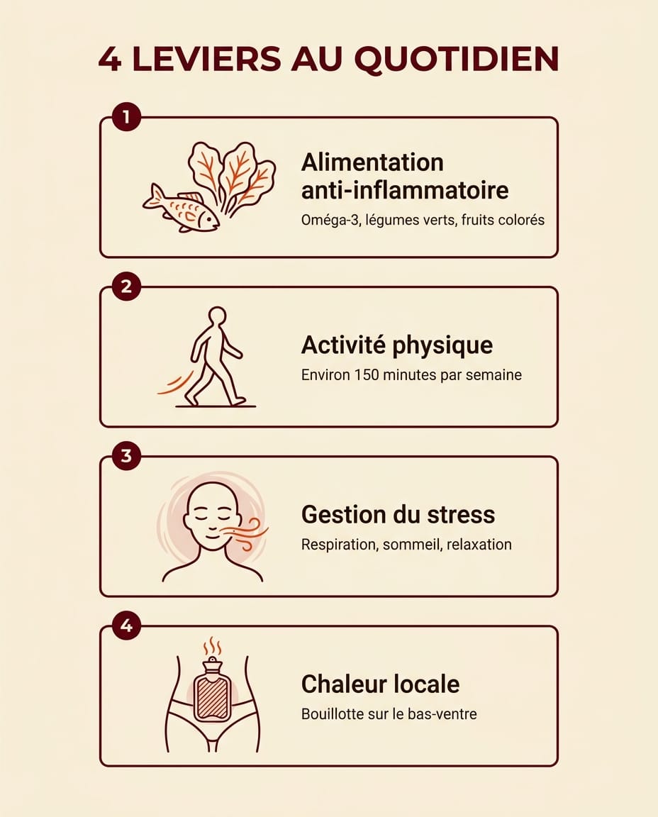 Infographie des leviers d'hygiène de vie : alimentation anti-inflammatoire, gestion du stress, activité physique, sommeil, en français