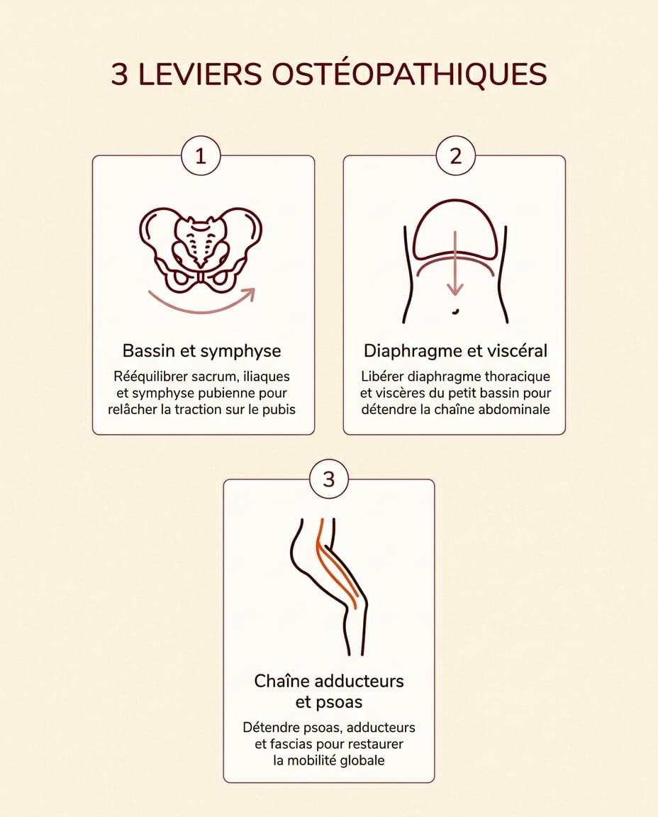 Infographie portrait en français présentant les trois leviers ostéopathiques sur la pubalgie : libération du bassin et de la symphyse, libération du diaphragme et des viscères du petit bassin, et travail de la chaîne adducteurs-psoas, sur fond crème avec numéros bordeaux et icônes orange